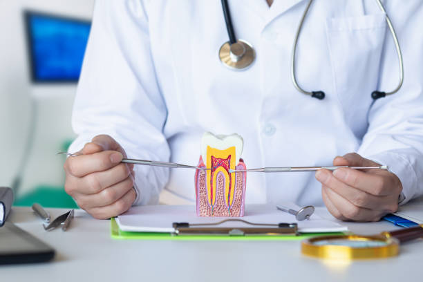 Best Weekend Emergency Dentist in Vicksburg, MI